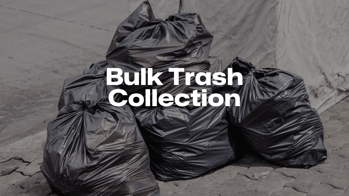 BulkTrashCollection