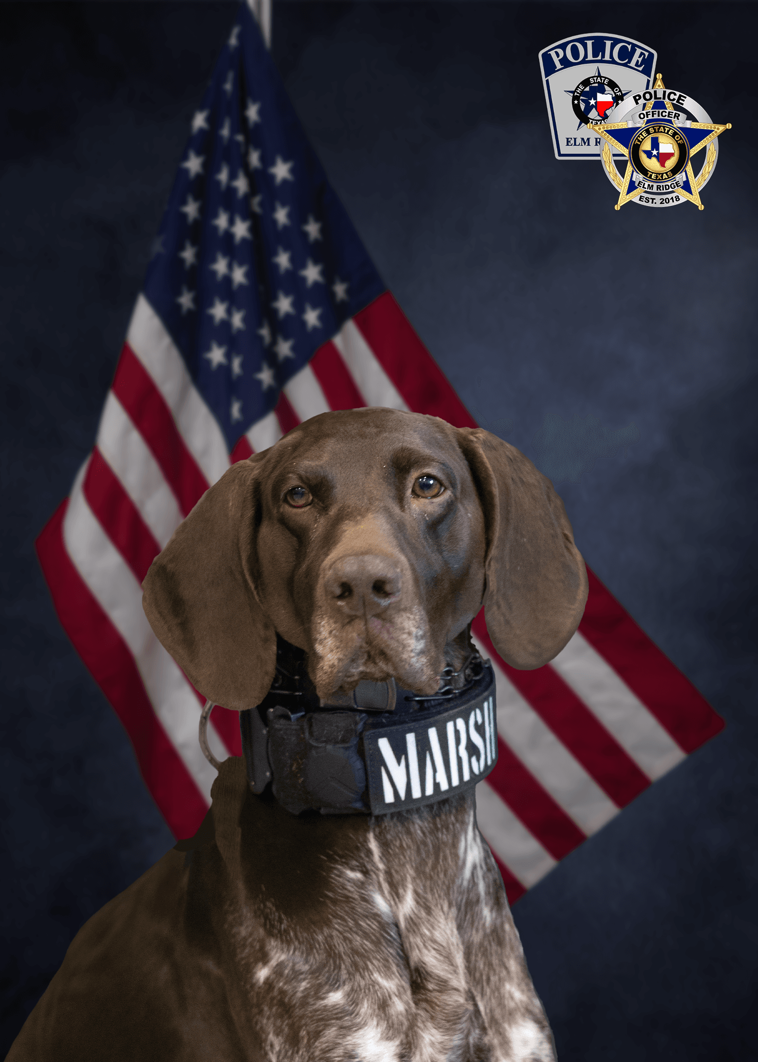K9 Marshall